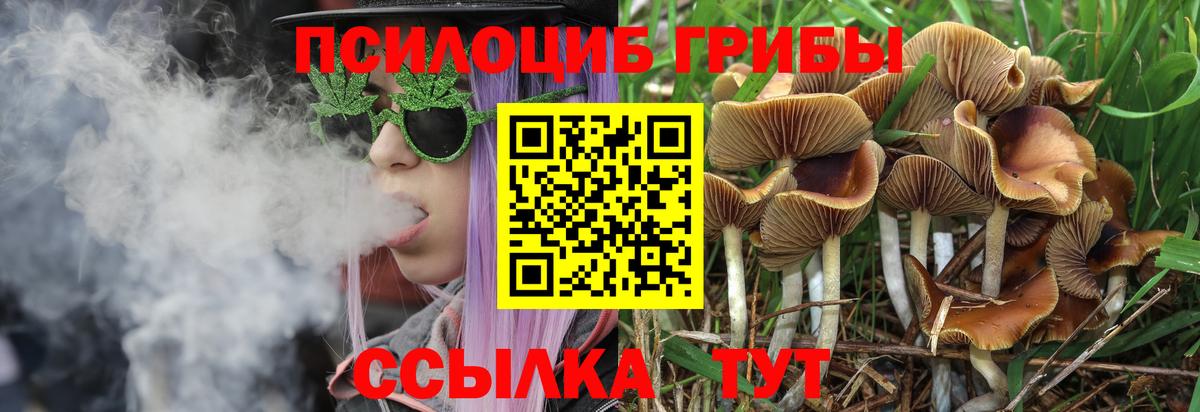 Галлюциногенные грибы MAGIC MUSHROOMS  Вход с VPN  Псилоцибиновые грибы MAGIC MUSHROOMS  Анжеро-Судженск 